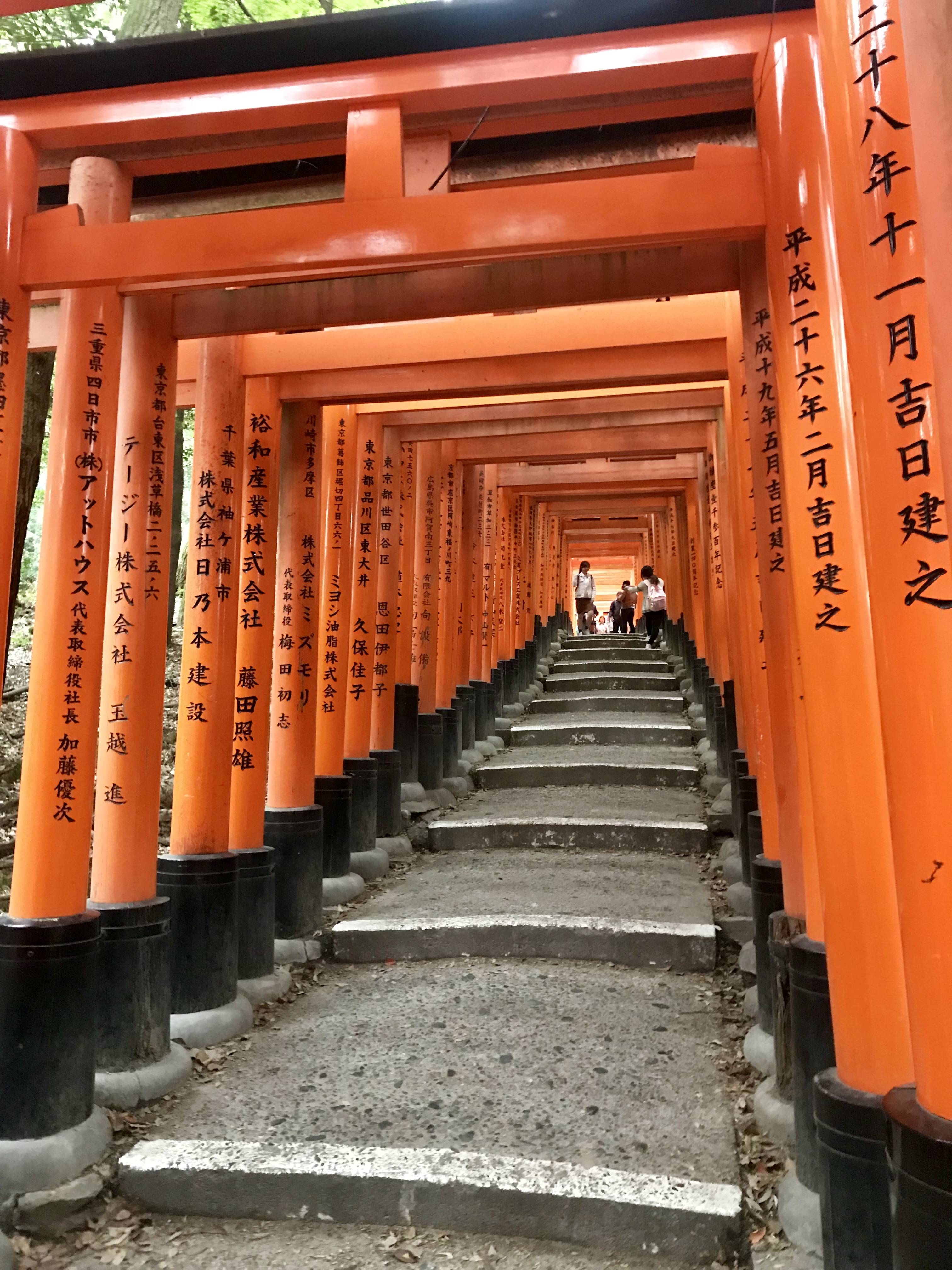 10 Best Things To Do in Kyoto for an Awesome Kyoto Itinerary