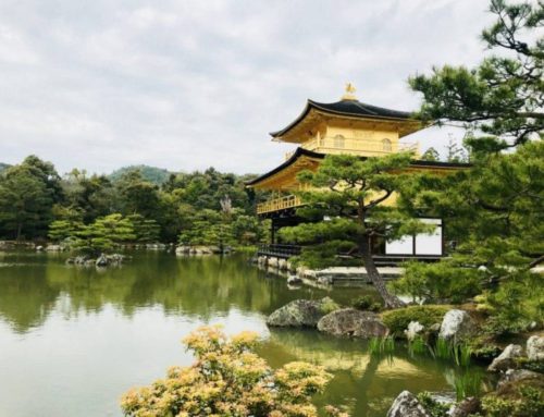 10+ Absolute Best Things To Do in Kyoto Japan