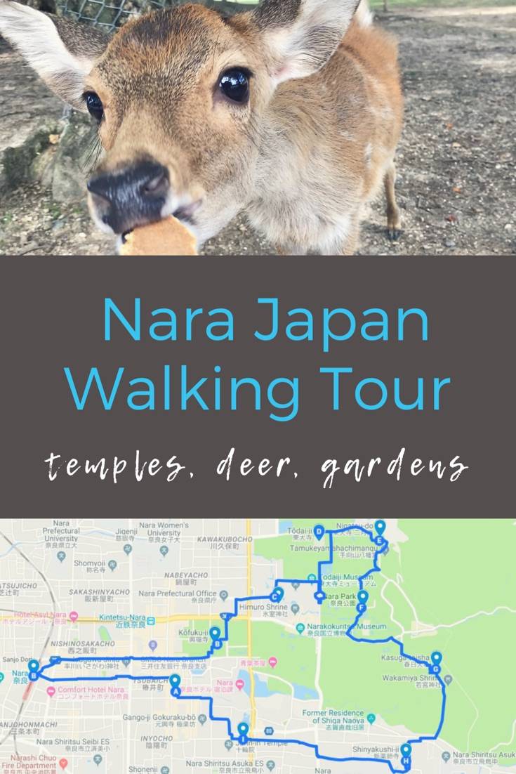 walking tour nara japan