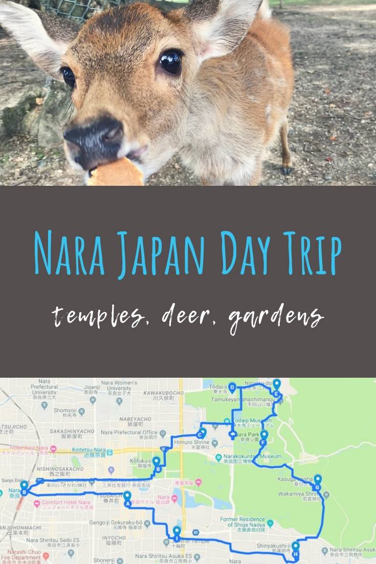 Nara Day Trip | Take a day trip to Nara from Osaka to meet Japan’s free roaming deer and explore the beautiful Nara temples. Includes map for Nara walking tour. #Nara #Japan #travel